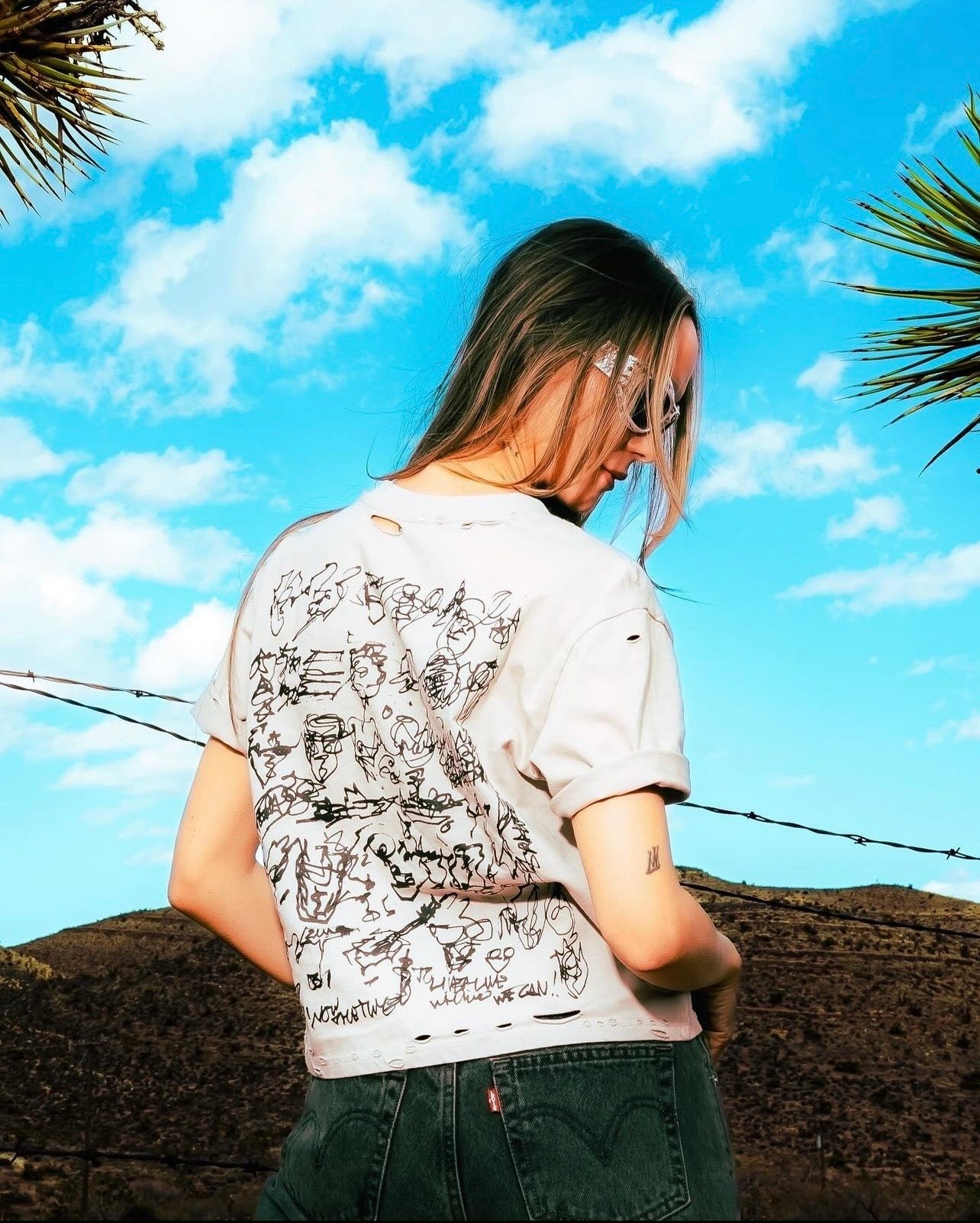 La Cienega Destroyed Sketch Crop Tee